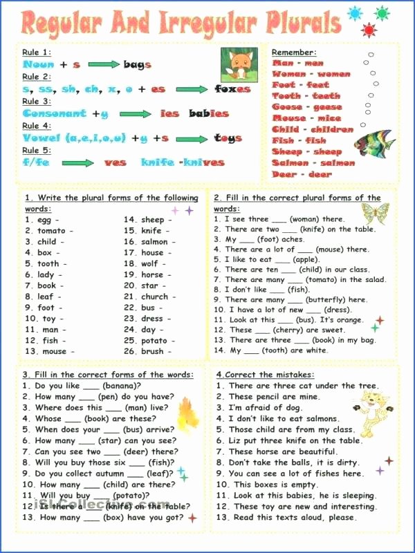 Plural Nouns Worksheet 5th Grade Singular and Plural Nouns Worksheet Grade 6 Worksheets for
