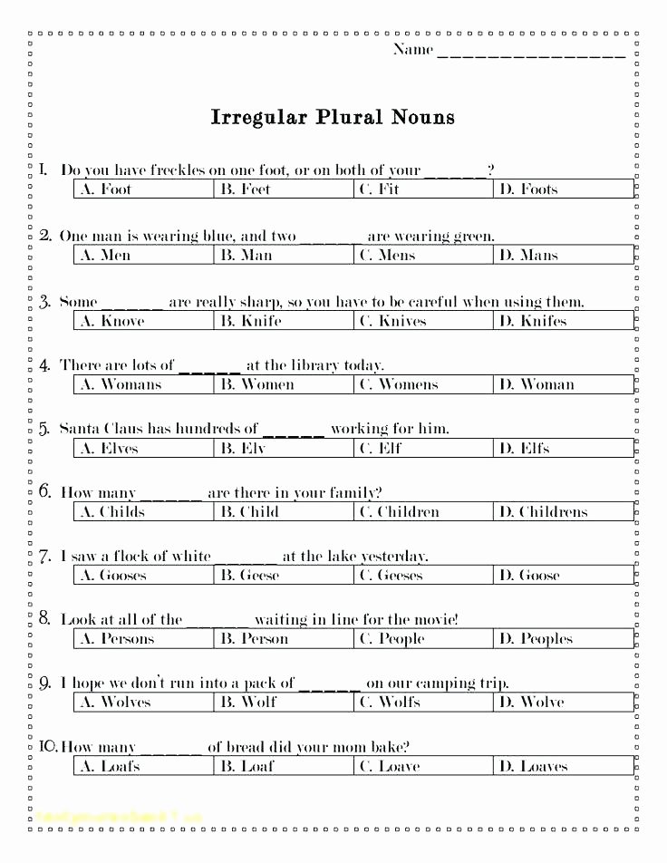 Plural Nouns Worksheet 5th Grade Singular Possessive Nouns Worksheets New and Plural for