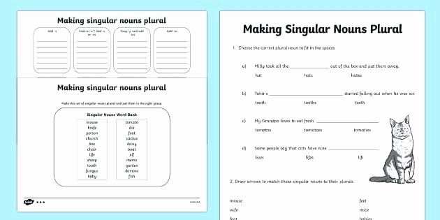Plurals Worksheet 3rd Grade Making Singular Nouns Plural Worksheet Activity Sheet