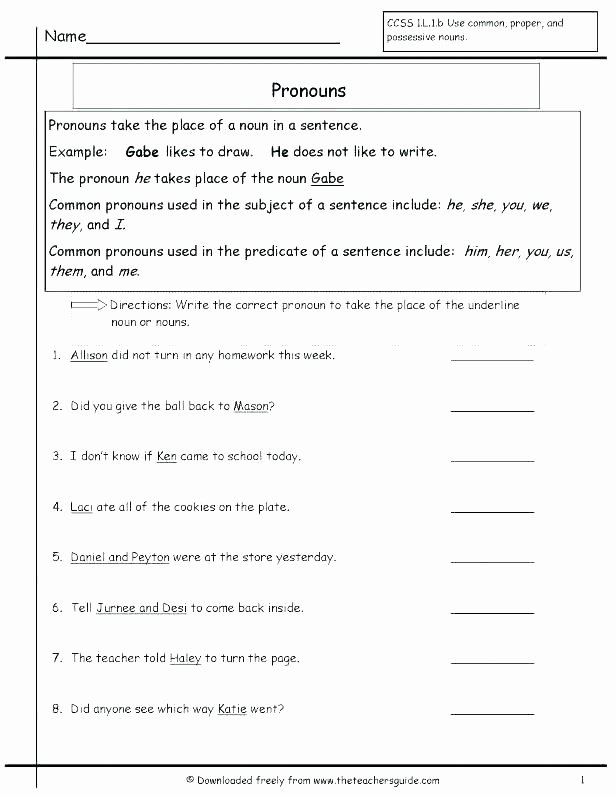 Plurals Worksheet 3rd Grade Plural Singular Possessive Nouns Worksheets for Practice