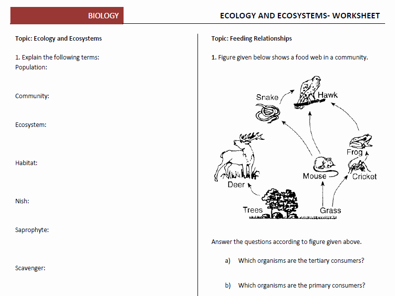Populations and Communities Worksheet Answers Ecology and Populations Worksheets by Biologydomain