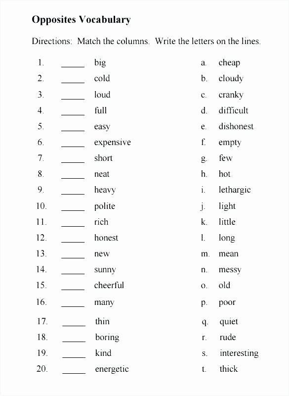 Positional Words Worksheets Kindergarten Math Vocabulary Worksheets Math Vocabulary Worksheets Math