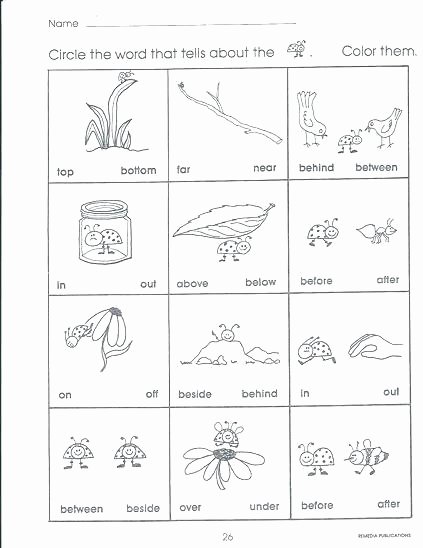 Positional Words Worksheets Kindergarten Position Worksheets