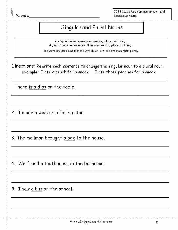 Possessive Pronoun Worksheet 3rd Grade Exercises Types Nouns