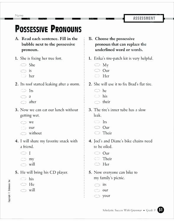 Possessive Pronoun Worksheet 3rd Grade Pronouns Worksheets for Grade 3 – Openlayers