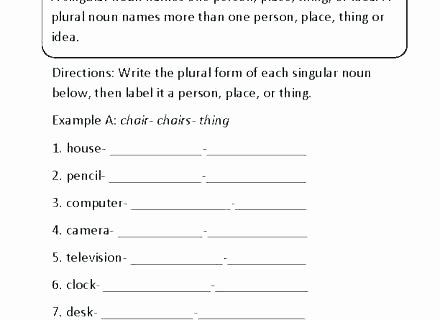 Possessive Pronoun Worksheet 3rd Grade Singular and Plural Pronouns Worksheets New Possessive Nouns
