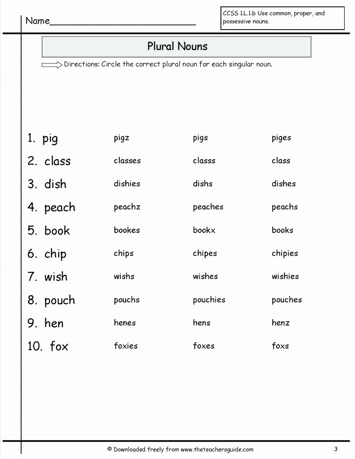 Possessive Pronoun Worksheets 5th Grade Nouns and Pronouns Worksheets Pronoun Quiz Doc Grade About