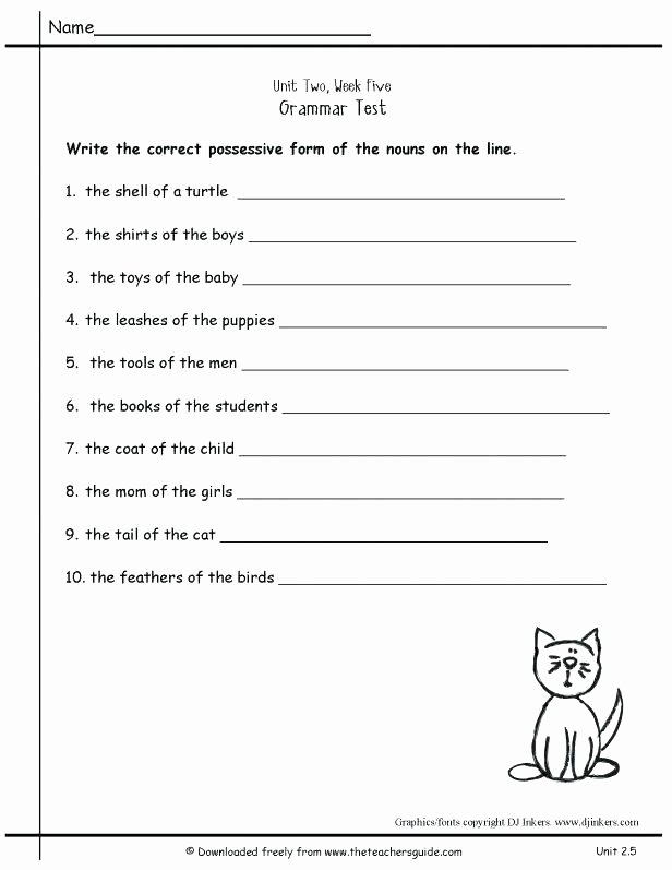 Possessive Pronoun Worksheets 5th Grade Plural Possessive Nouns Worksheets 3rd Grade