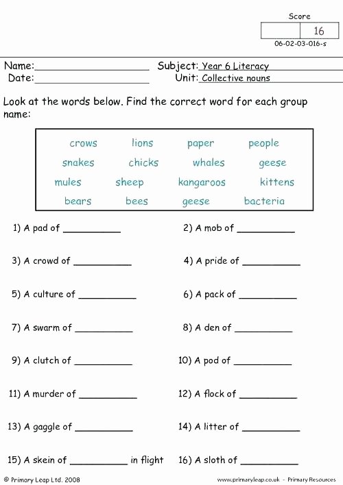 Possessive Pronoun Worksheets 5th Grade Possessive Nouns Worksheets 5th Grade Collective Noun