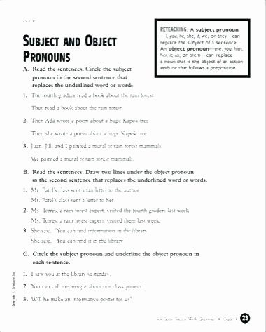Possessive Pronouns Worksheet 2nd Grade Subject and Object Worksheets Subject Object Possessive
