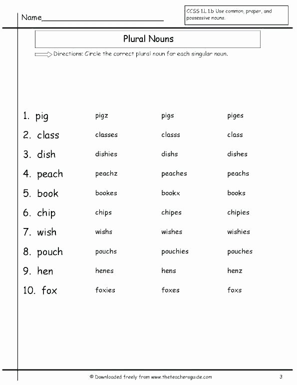 Possessive Pronouns Worksheet 3rd Grade Pronoun Worksheets First Grade