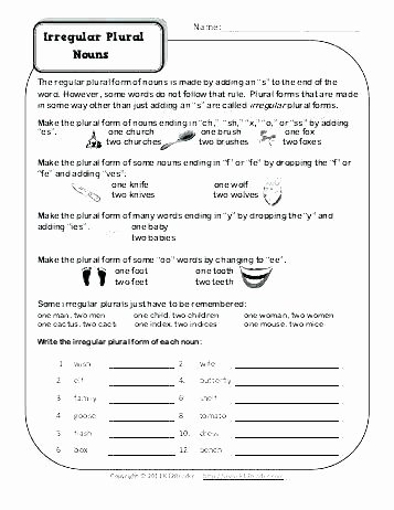 Possessive Pronouns Worksheet 5th Grade Plural Possessive Nouns Worksheets 3rd Grade