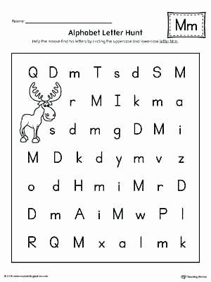 Pre Writing Worksheets Free Pre Preschool Worksheets – Odmartlifestyle