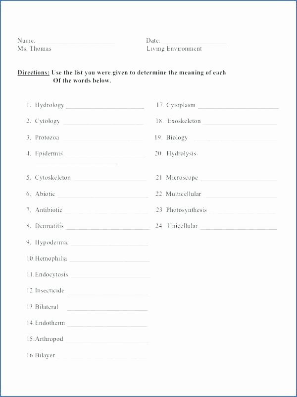 and prefixes bi prefix suffix worksheets for grade printable free high school pdf