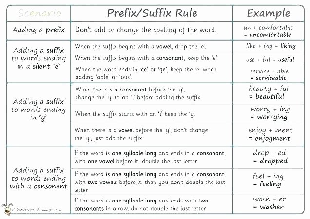 Prefix Suffix Worksheets 3rd Grade Prefix and Suffix Worksheets with Answers Best Electric