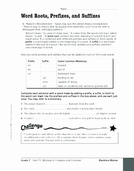 Prefix Worksheet 4th Grade Prefixes and Suffixes Worksheets 4th Grade – Openlayers