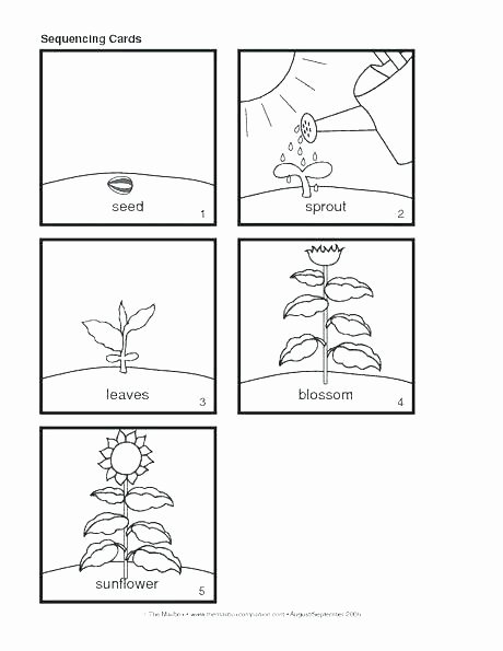 Preschool Sequencing Worksheets Sequence events Story Worksheets Sequencing Grass