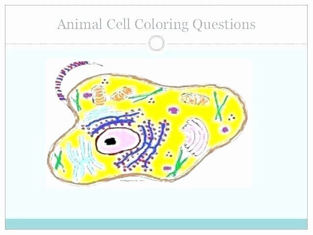 Printable Animal Cell Diagram Animal Cell for Coloring – Queenandfatchef
