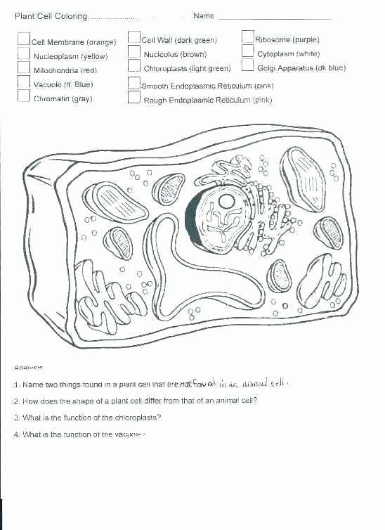 Printable Animal Cell Diagram Plant and Animal Cells Coloring Pages – Spikedsweettea