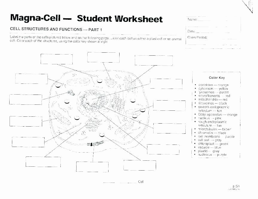 Printable Cell Worksheets Label A Cell Diagram Elegant Label the Parts Od An Animal