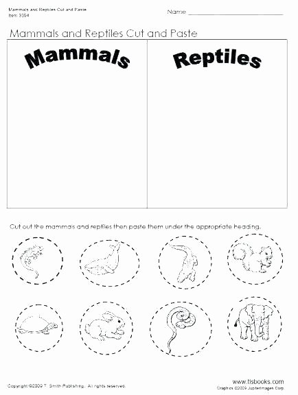 Printable Cut and Paste Worksheets Preschool Cut and Paste Worksheets