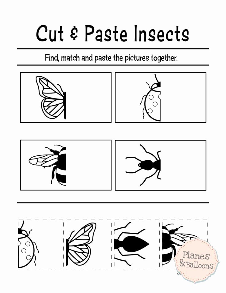Printable Cutting Worksheets for Preschoolers Free Printable Cut and Paste Worksheets for Preschool