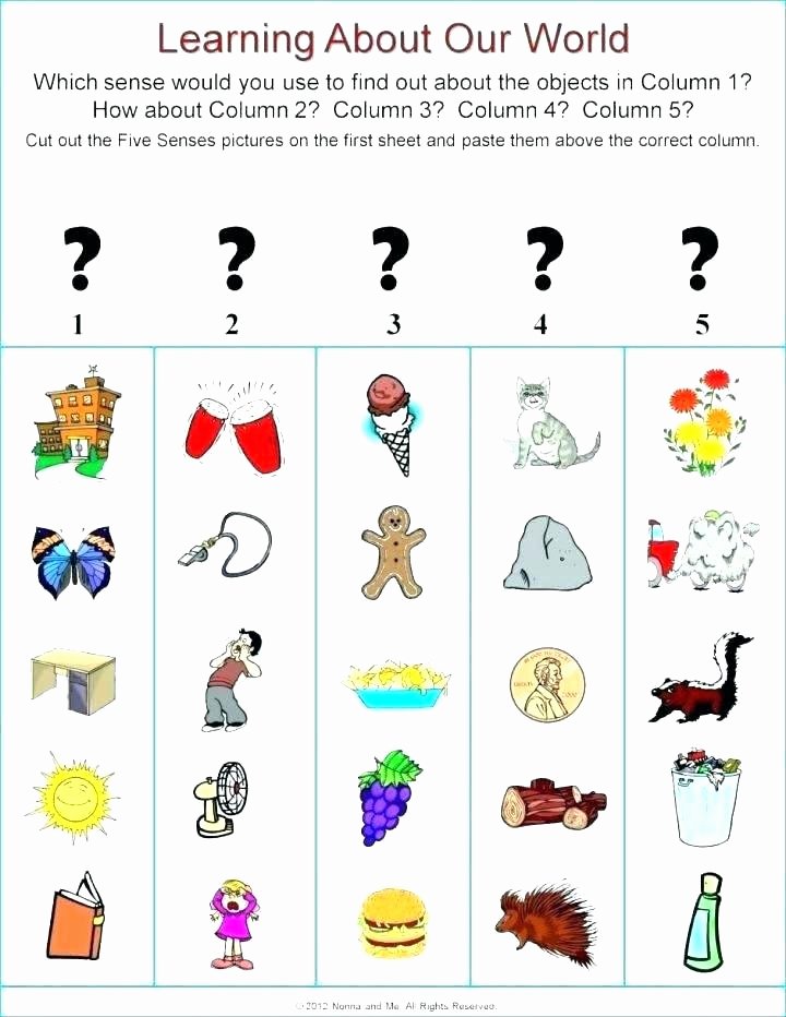 Printable Cutting Worksheets for Preschoolers Human Body for Kids Skeleton Worksheet Preschool Science