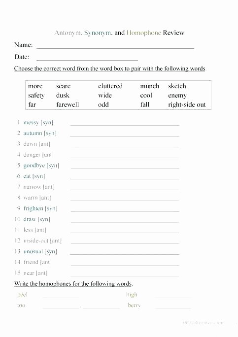 antonyms synonyms and homophones worksheet free printable homonyms homophone worksheets for 5th grade