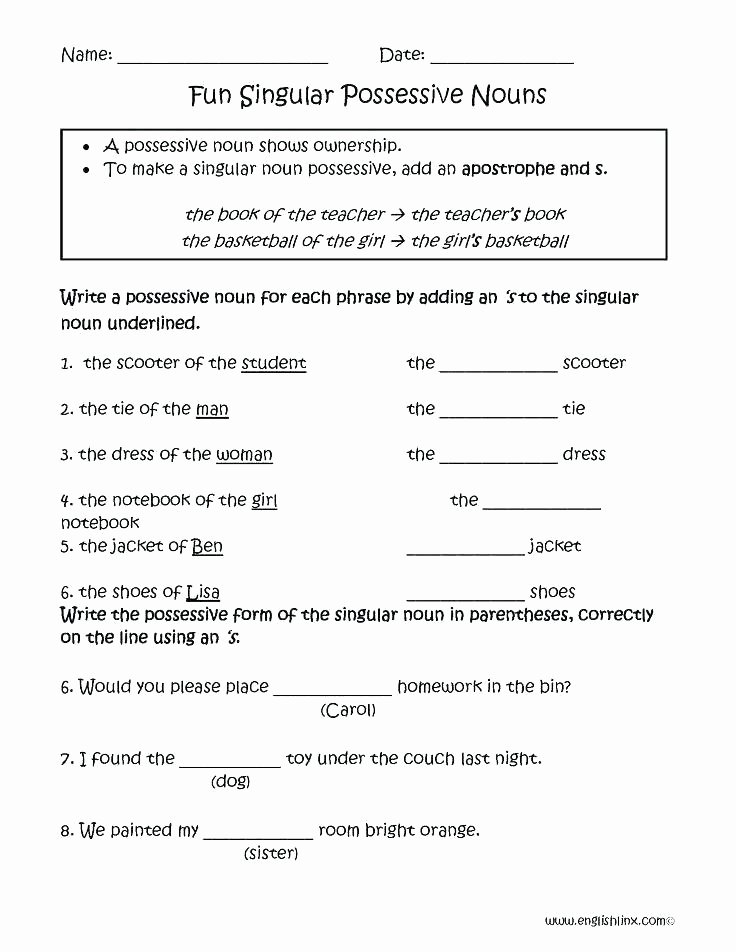 Pronoun Worksheets 5th Grade Singular and Plural Pronouns Worksheets Possessive Nouns