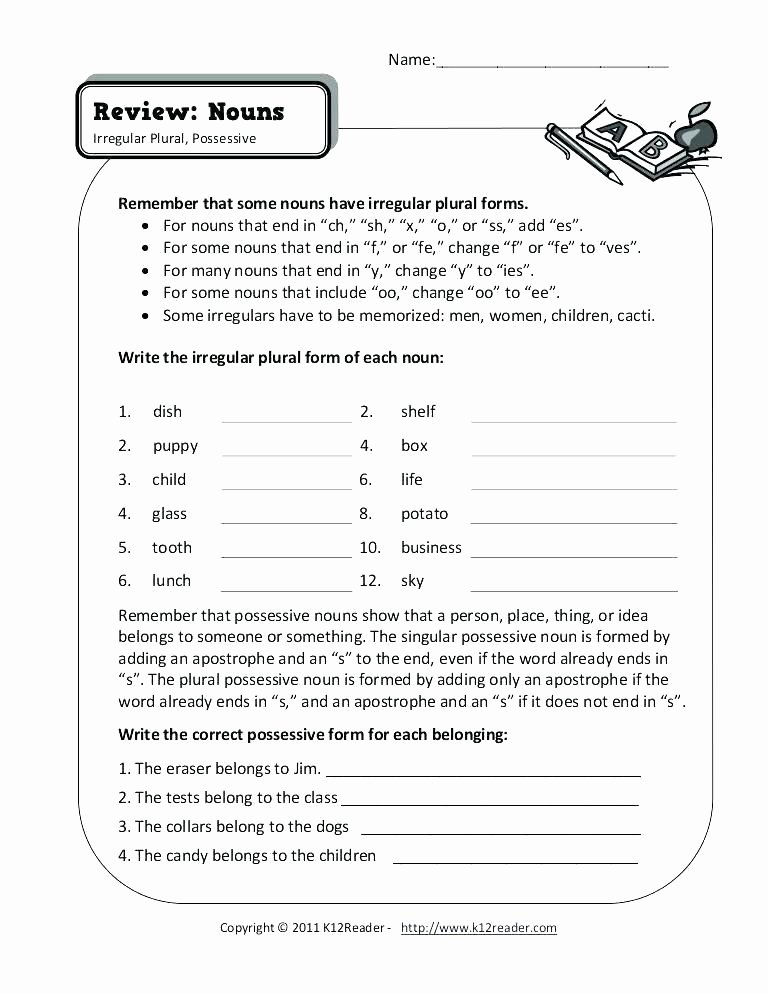 Pronoun Worksheets for 2nd Graders Pronoun Worksheets Grade Possessive Nouns Plural Noun