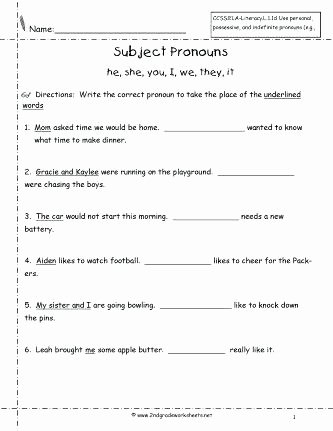 Pronouns Worksheet 2nd Grade Free Pronoun Worksheets for Kids Educations Possessive 4th Grade