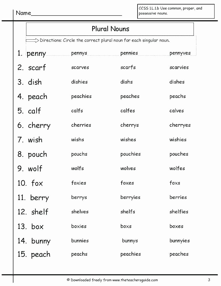 Pronouns Worksheets 5th Grade Possessive Nouns Worksheets 5th Grade – butterbeebetty