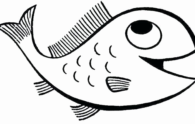 Rainbow Fish Worksheets Fresh Fish Scale Template – Amartyasen