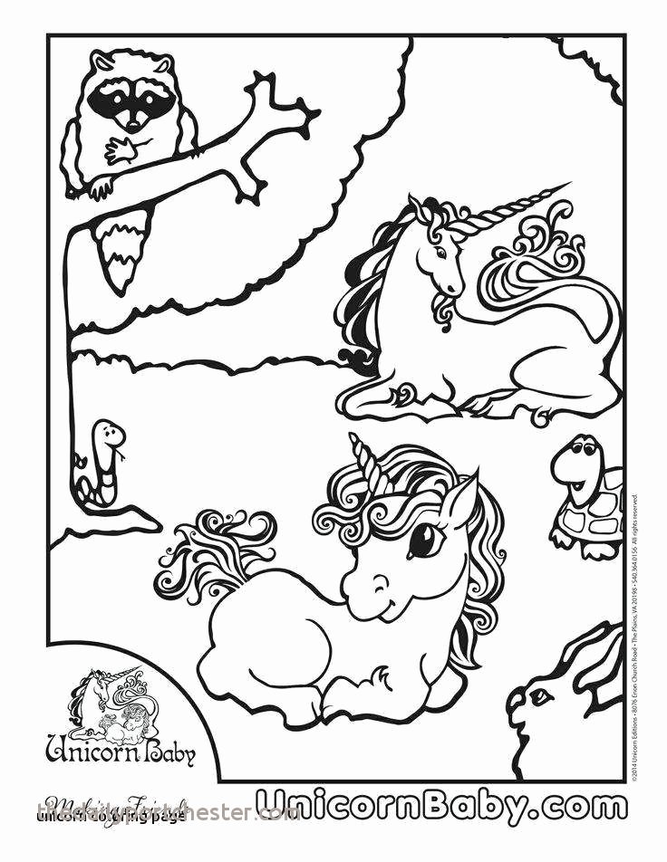 Rainforest Worksheets Free 11 Beautiful Rainforest Coloring Pages
