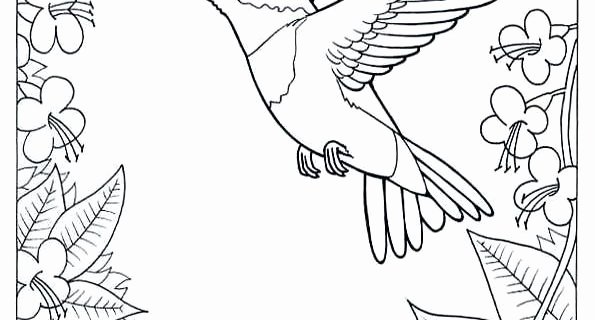 Rainforest Worksheets Free Rainforest Animals Coloring Pages Free Lovely Animal
