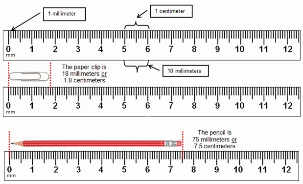 Reading A Ruler Worksheet Answers Scientific Investigation and Reasoning Measurement