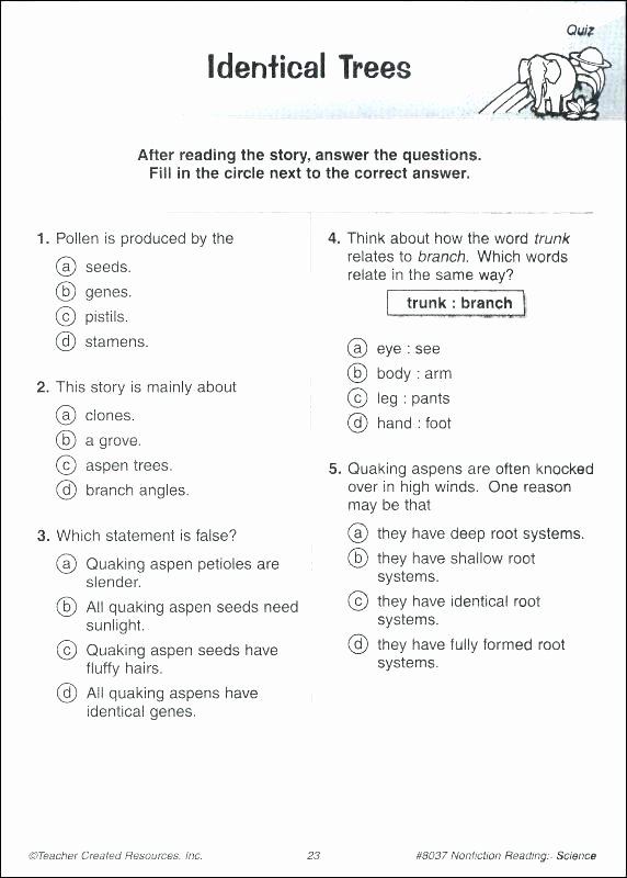 Reading Comprehension Worksheets 6th Grade Sixth Grade English Worksheets