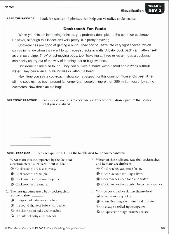 Reading Worksheets 5th Grade 5th Grade Reading Worksheets
