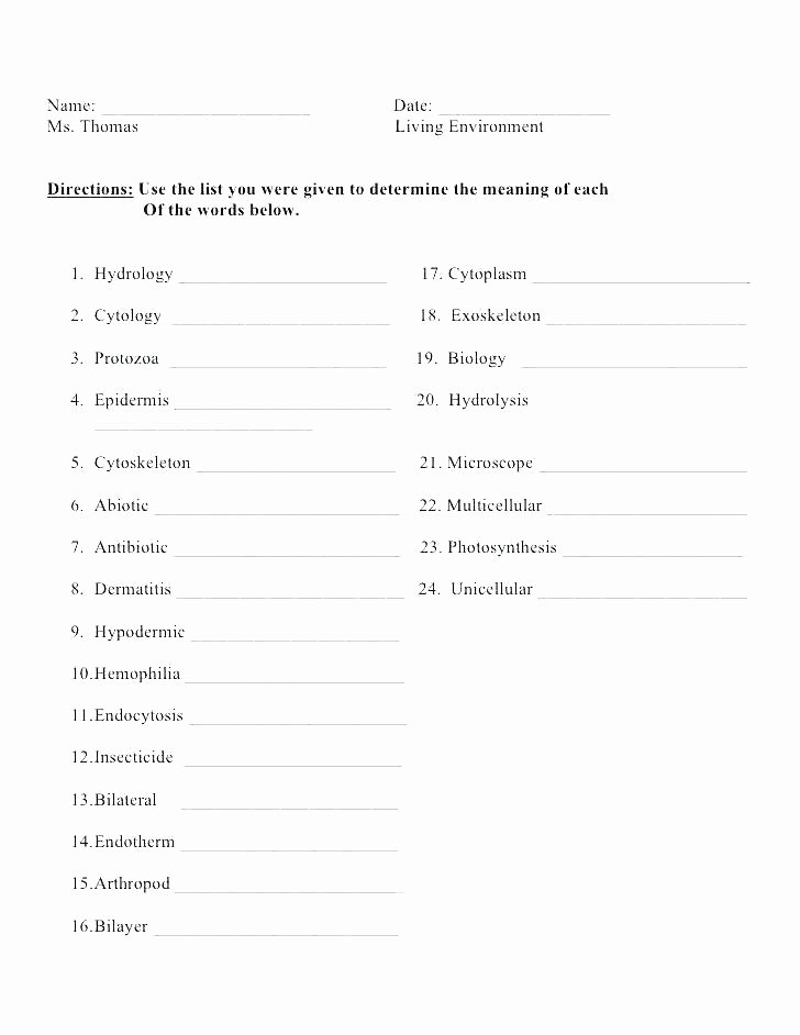 Root Word Worksheets 3rd Grade Awesome Grade Root Words Worksheets and Word Roots Prefix Suffix