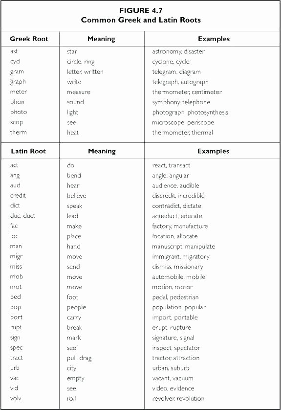 Root Words Worksheet 5th Grade Latin Worksheets