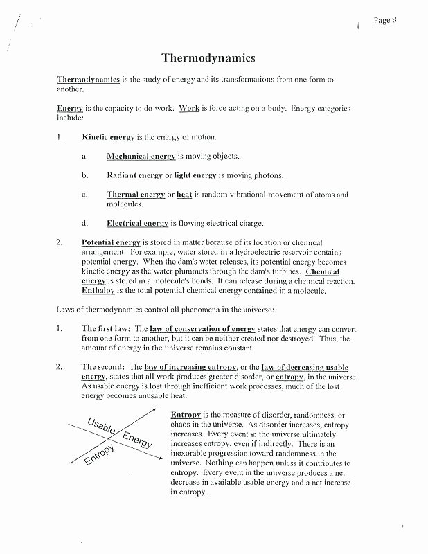 Science force and Motion Worksheets Science Motion Worksheets