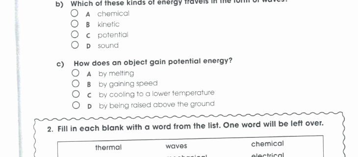 Science Fusion Grade 3 Worksheets First Grade Worksheets Kids Science Picking for 1 Plants Pdf