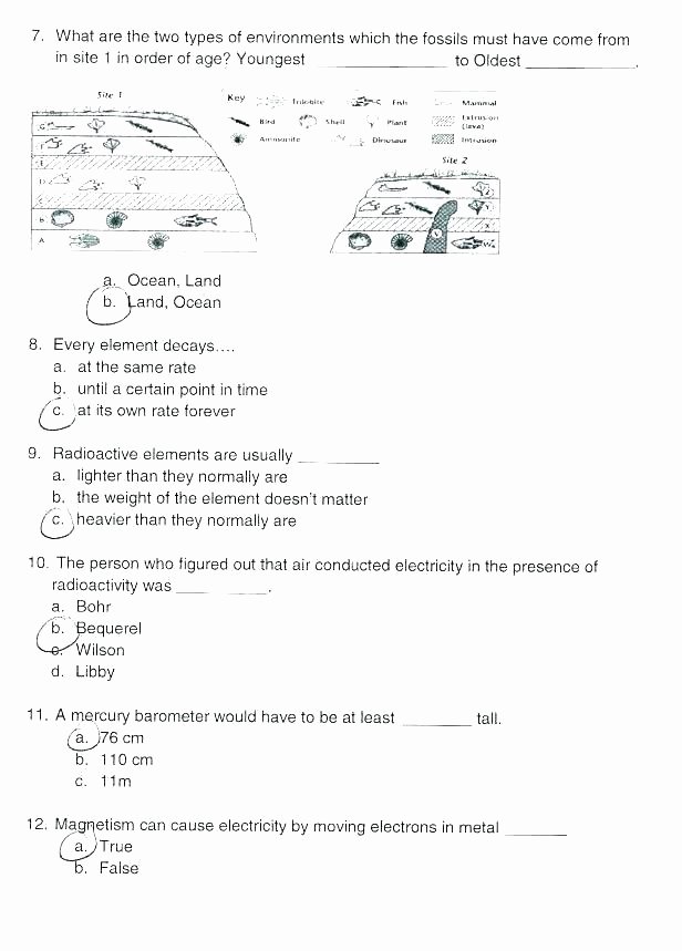 Science Fusion Grade 3 Worksheets force and Motion Worksheets Free Library Download Print