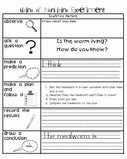 Science Worksheet 1st Grade Free Printable 7th Grade Science Worksheets