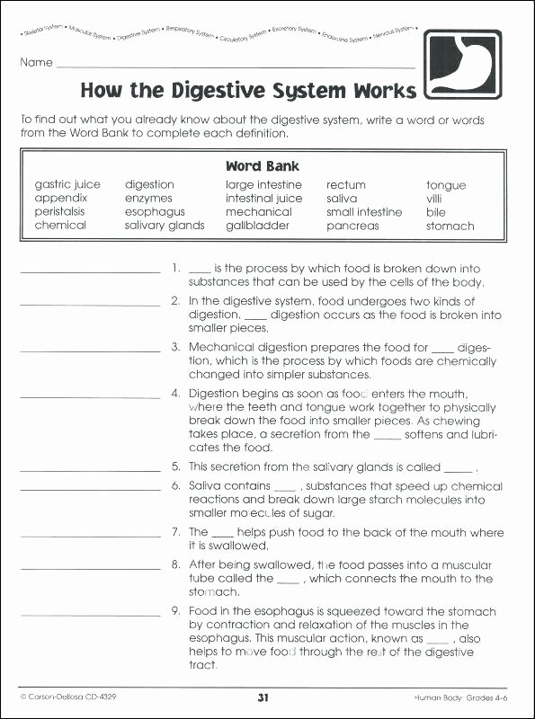 Science Worksheets 7th Grade Fifth Grade Science Worksheets
