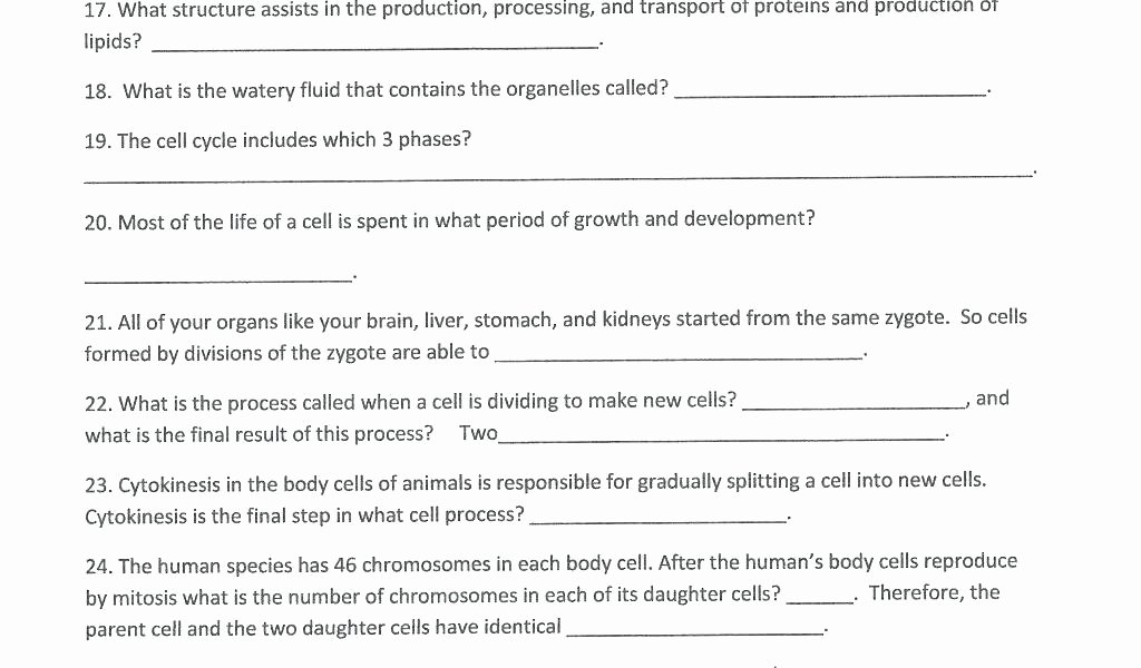 Science Worksheets 7th Grade Free Printable 7th Grade Science Worksheets