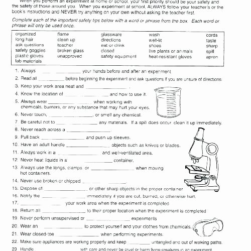 Science Worksheets 7th Grade Free Printable Second Grade Science Worksheets