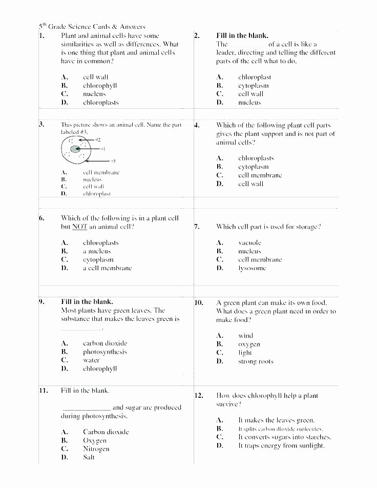 Science Worksheets for 5th Grade 5th Grade Science Worksheets