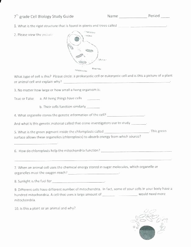 Science Worksheets for 5th Grade Free Science Worksheets for 5th Grade
