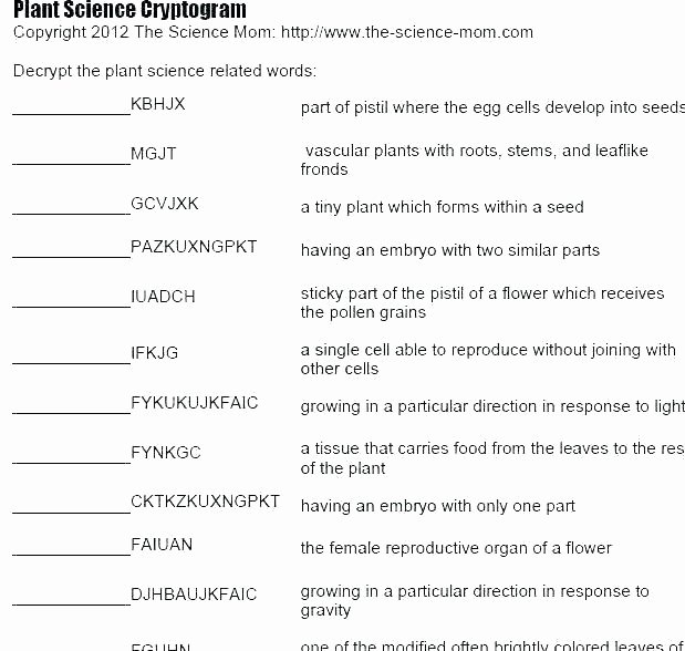 Science Worksheets for 8th Grade Grade One Science Worksheets